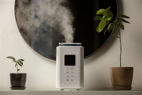 mejores humidimetros|los mejores humidificadores 2023.